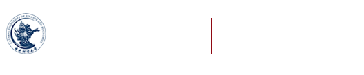 Playace平台官网入口